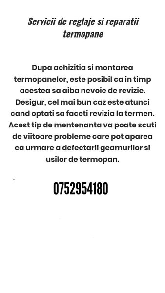 Termopane Reparatii